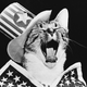 Illustration for article titled Reasonable Discussions: July 4